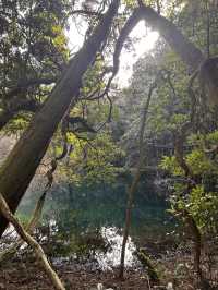 Japan Hidden Gem : Yuza
