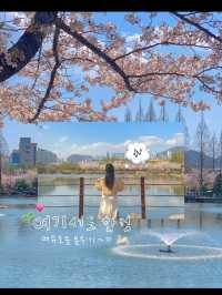 김해연지공원 다녀왔습니다🎶