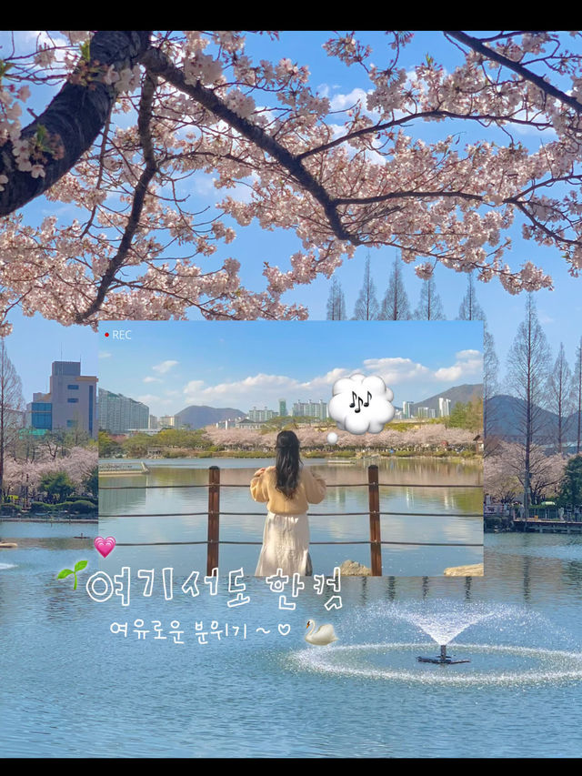 김해연지공원 다녀왔습니다🎶