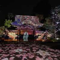Kodaiji's Spring Illumination Night Show
