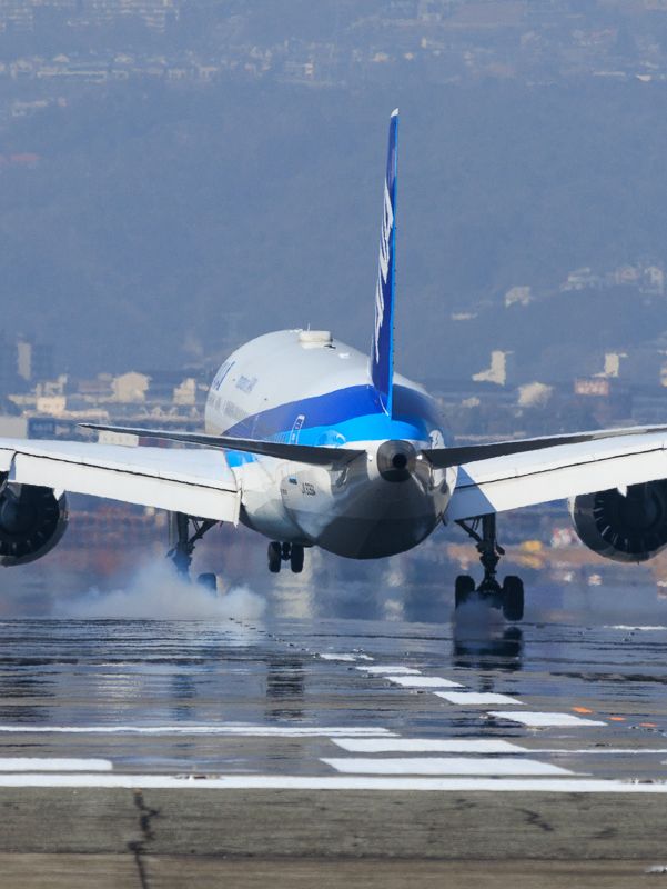 関空をかすめる！千里川土手で飛行機撮影