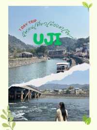แพลนเที่ยว 1 Day "UJI (อุจิ)" เมืองแห่งชาเขียว
