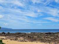 [🇺🇸オアフ島] ノースショアで楽しむ、波と自然のパラダイス