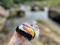 【西表島】東洋のガラパゴス　in西表島