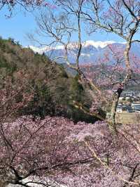 Takato Castle Park, Nagano