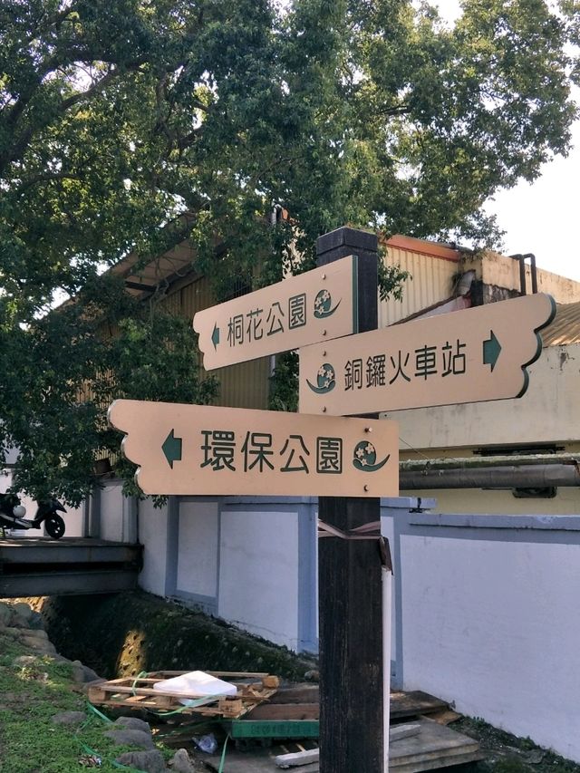#炮仗花海公園-苗栗縣銅鑼鄉