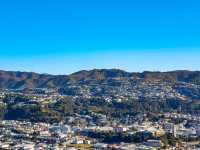 Wellington from the Top: A Mount Victoria Must-See