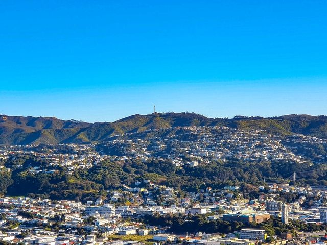 Wellington from the Top: A Mount Victoria Must-See
