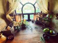 Hobbiton Movie Set guided bus tour