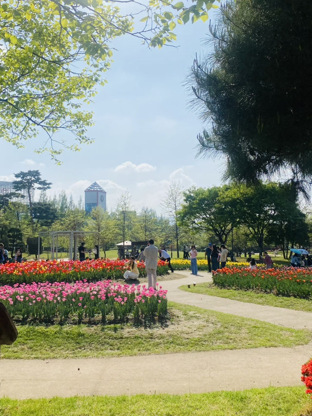 Yurim Park's Tulip Tapestry: An April Day's Delight 🌷☀️