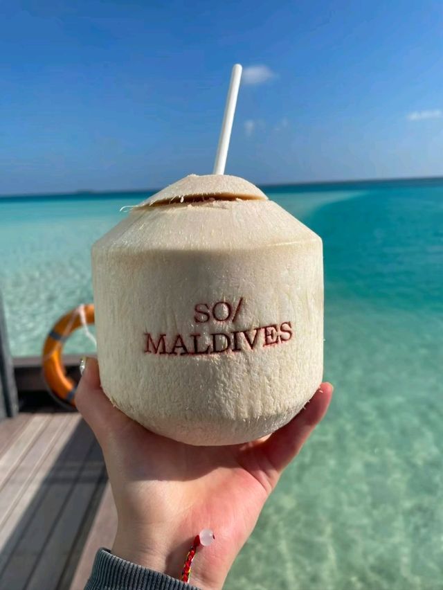 Maldives: The Perfect Escape for Travel and Relaxation