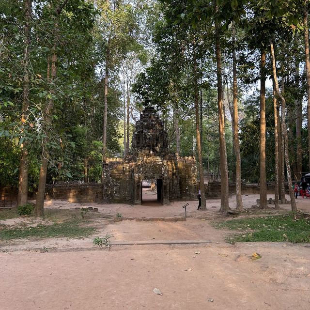 Angkor Wat - 1 Day Ticket