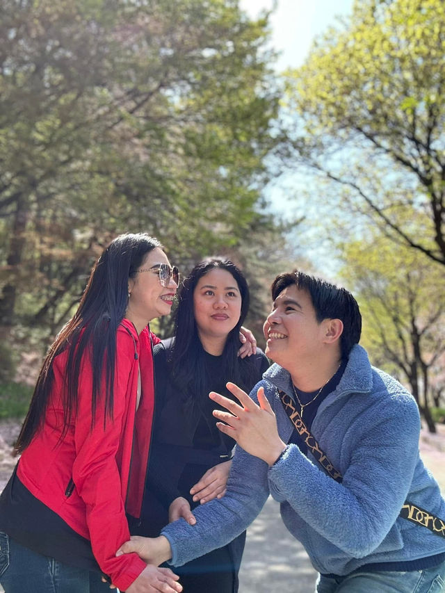 Scenic Spots in Suwon for Sakura Viewing!