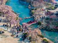 “Wuxi in Bloom: A Pink Reverie by the Lake”