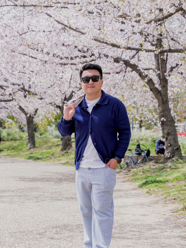 Ogimachi Park in April: A Riot of #aprilblooms! 🌸🌷🌼