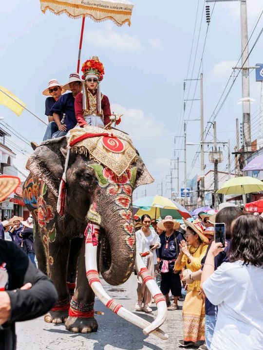 เก็บภาพมาฝาก ประเพณีเเห่ช้างบวชนาค