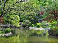 🌿 “Hidden Sakura Paradise: My Chill Day at Arisugawa Park!” 🌸✨