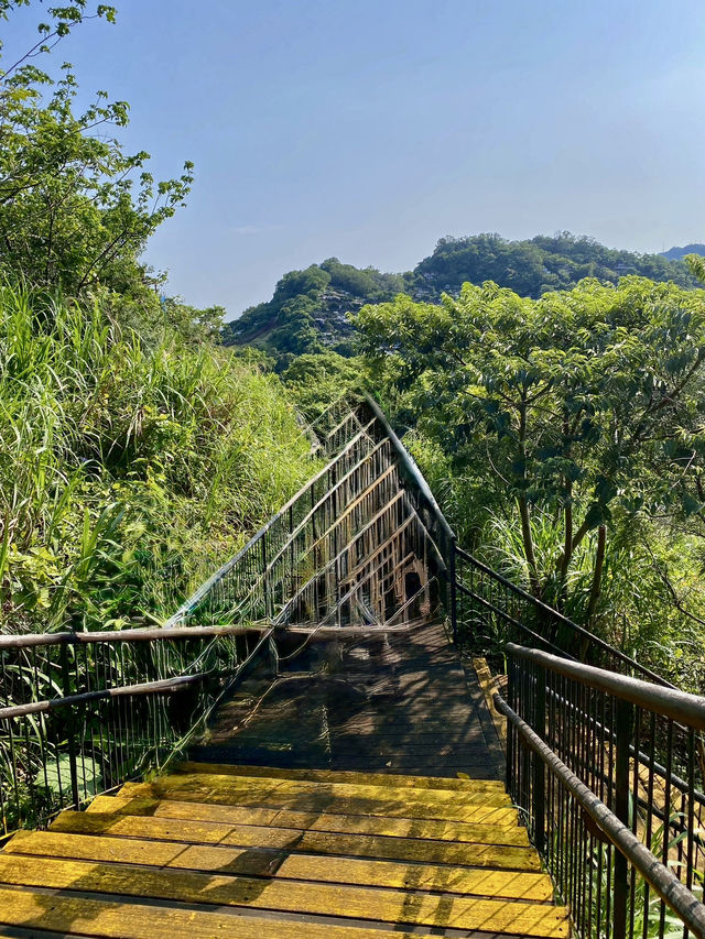 最親近台北的森林步道～富陽及黎和自然生態公園走走