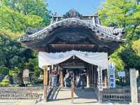 【 春の栃木② 】 あしかがフラワーパークと訪れたい近隣スポット🚶‍♀️