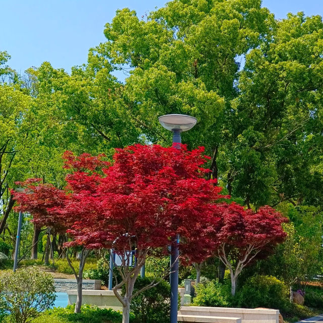 ～江邊印象～金溪體育公園～