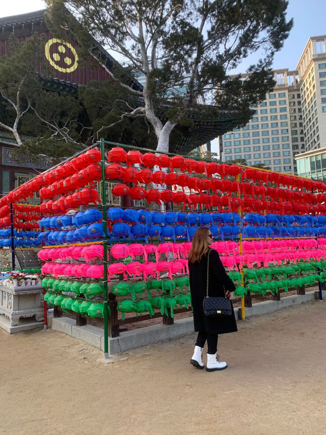 ✨💕Beautiful Jogyesa Temple✨💕Must Visit! 