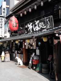 【東京🇯🇵】歴史巡り散歩をしよう🤍