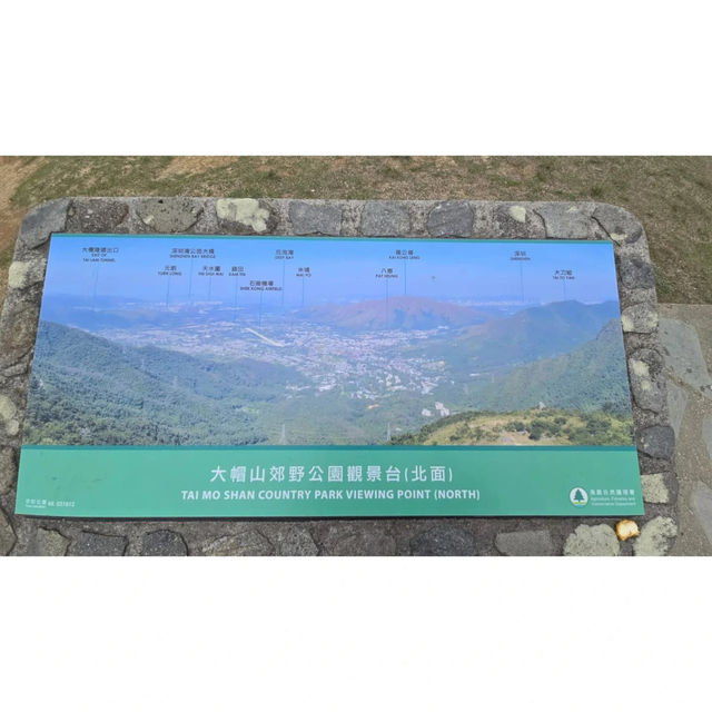 Touching the Clouds: Hiking Tai Mo Shan, Hong Kong’s Highest Peak 