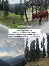 EP.5 ทริปแคชเมียร์ จะได้เป็นนักท่องเที่ยวกี่โมง