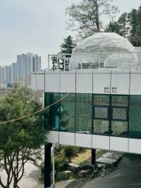 베이커리, 캠핑 감성까지 느낄 수 있는 카페, 카페5에서의 여유로운 한 잔 🍰☕️