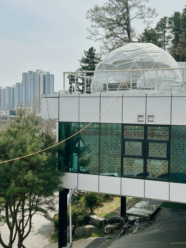 베이커리, 캠핑 감성까지 느낄 수 있는 카페, 카페5에서의 여유로운 한 잔 🍰☕️