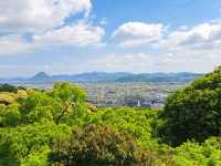 金比羅山