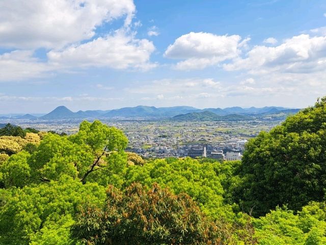金比羅山