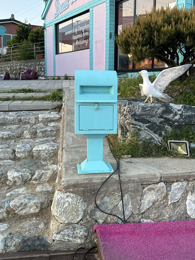 젊고 팝한 감성의 도너스를 즐기며 🌊 동해 묵호항을 감상할 수 있는 동해여행코스 추천🩵