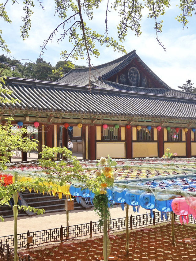경주여행 유네스코 세계문화유산 보러가요🔔