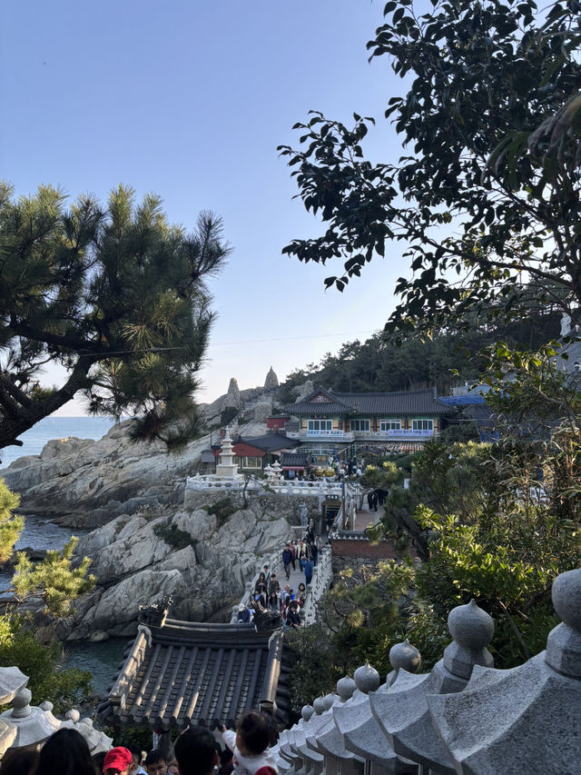【韓国・釜山】海雲台周辺を満喫しよう！！