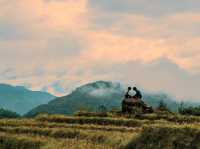 Fanxipang