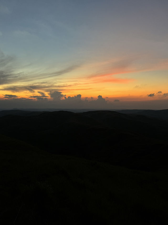 The Green Majesty of Wairinding Hill