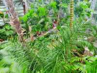 DC's April Botanical Haven