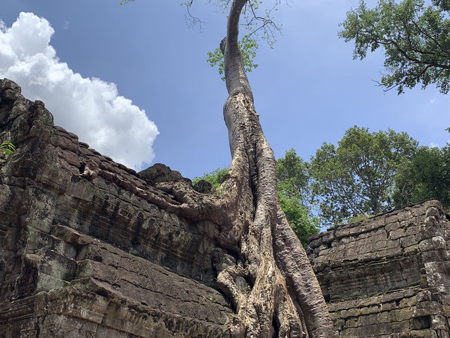 How to spend 3days at Siem Reap