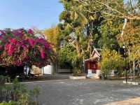 Peaceful Mornings at Wat Sop Sickharam: A Hidden Gem in Luang Prabang