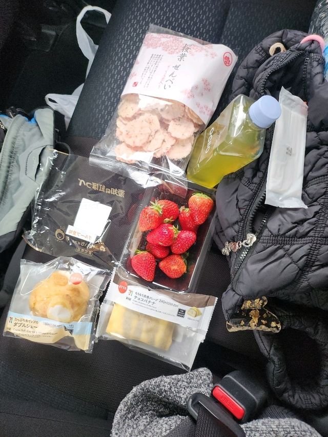 What I eat in nagoya and takayama