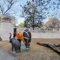 วัดเฉลิมพระเกียรติวรวิหาร