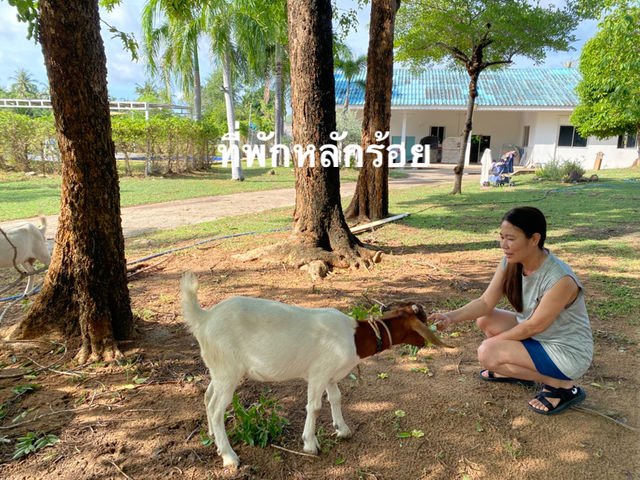 ปราณบุรีฟาร์มแอนด์คาเฟ่