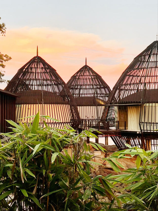 Into the rainforest at the Ritz