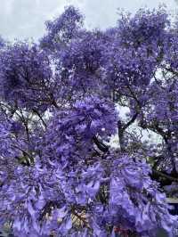 Beautiful city of Kunming 