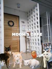Moon.s Cafe : คาเฟ่เล็กๆ ย่านจรัญ (มีแมวด้วย)