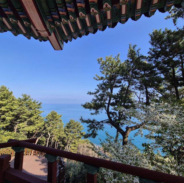 해운대 여행 필수코스