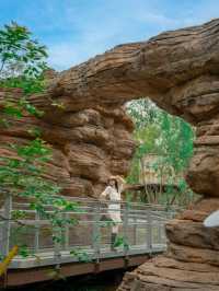 BIRD PARADISE IS OPENING IN MAY! 🦜