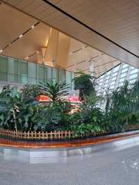 A NATURE MESSAGE FOR EVERY TRAVELLER IN KUNMING CHANGSHUI AIRPORT