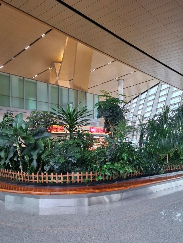A NATURE MESSAGE FOR EVERY TRAVELLER IN KUNMING CHANGSHUI AIRPORT